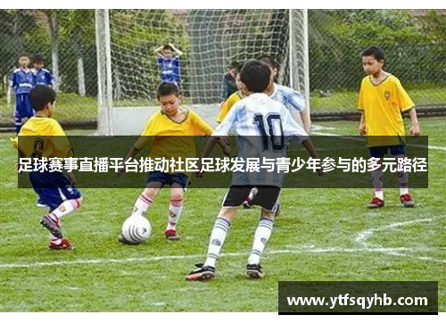 足球赛事直播平台推动社区足球发展与青少年参与的多元路径